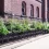 Leaside Garden Society to discuss urban farming – Mar 12