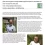 Leaside Garden: Urban farming & pollinators – May 14